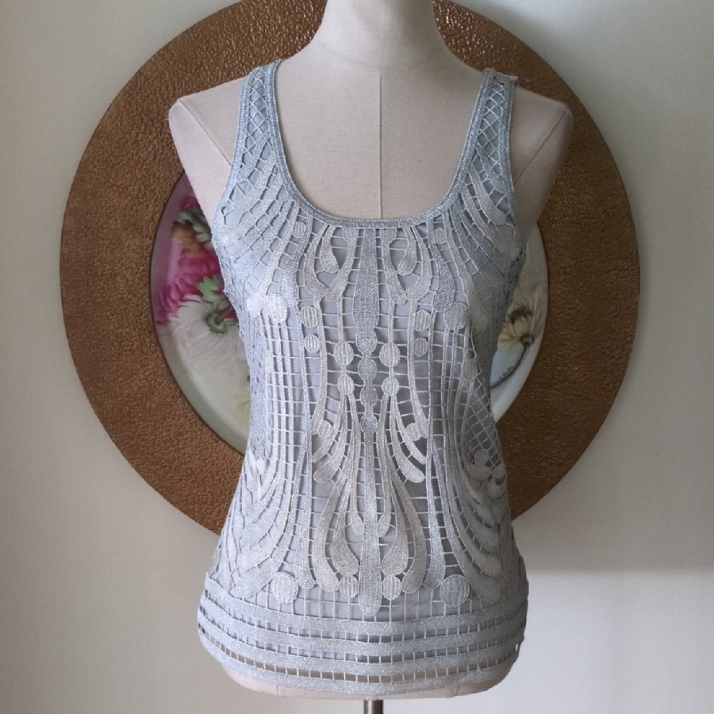 Express Beautiful Gray Lace Women's Top